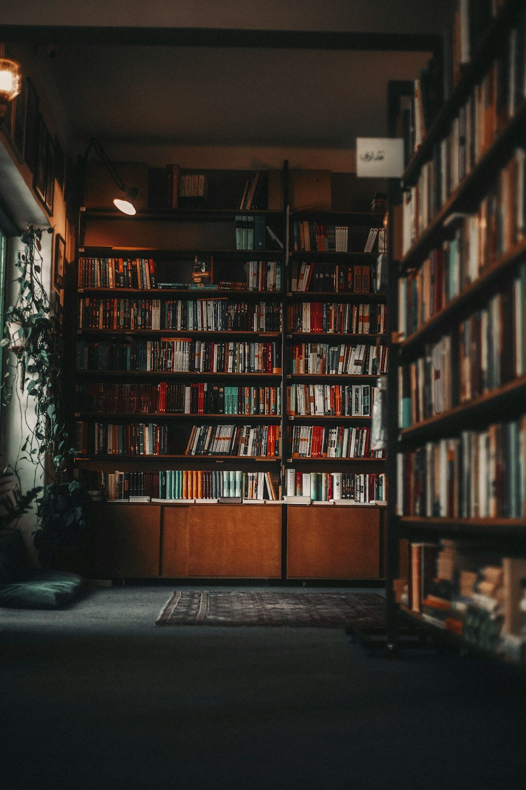 cozy bookstore interior