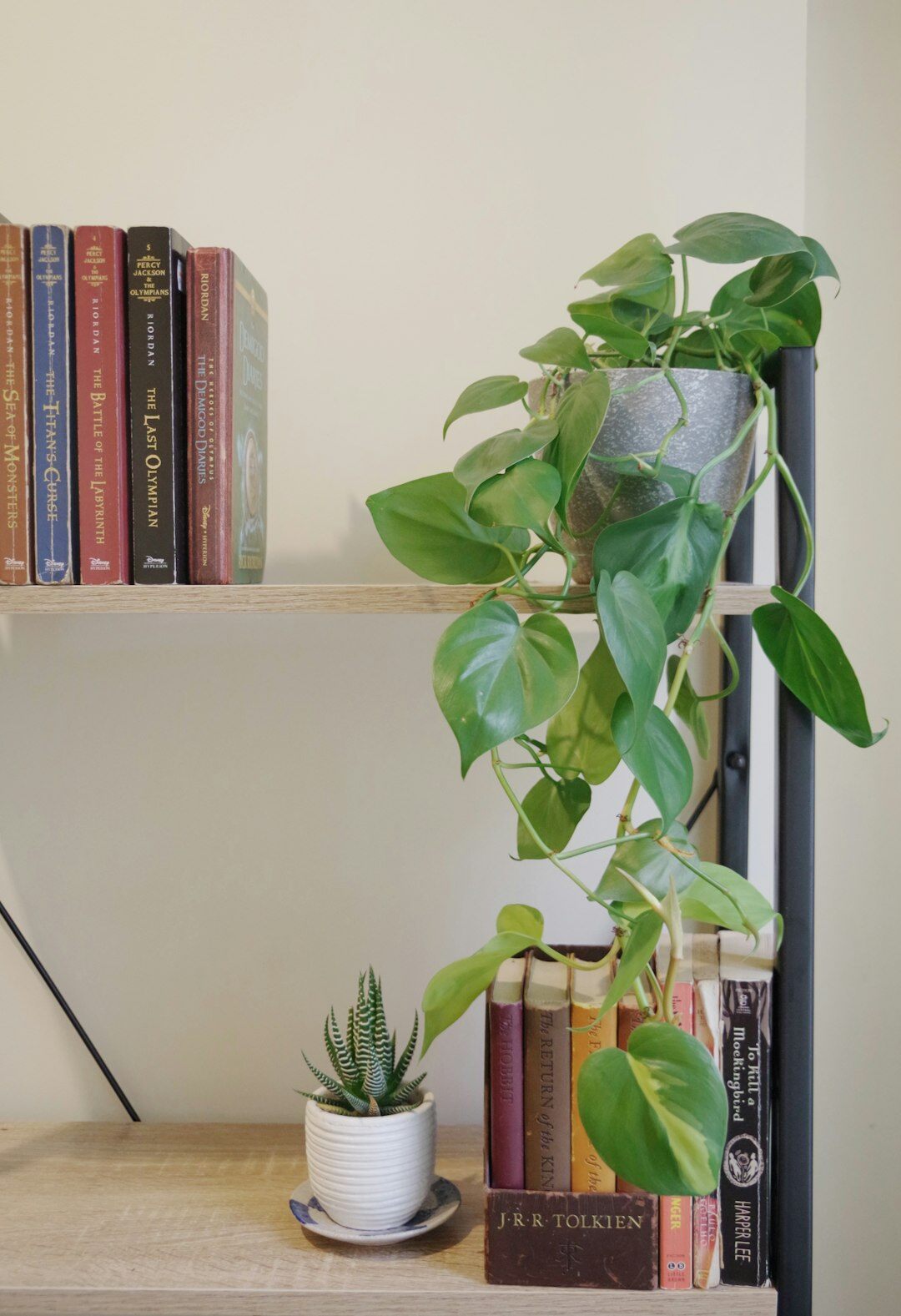 bookshelf with novels