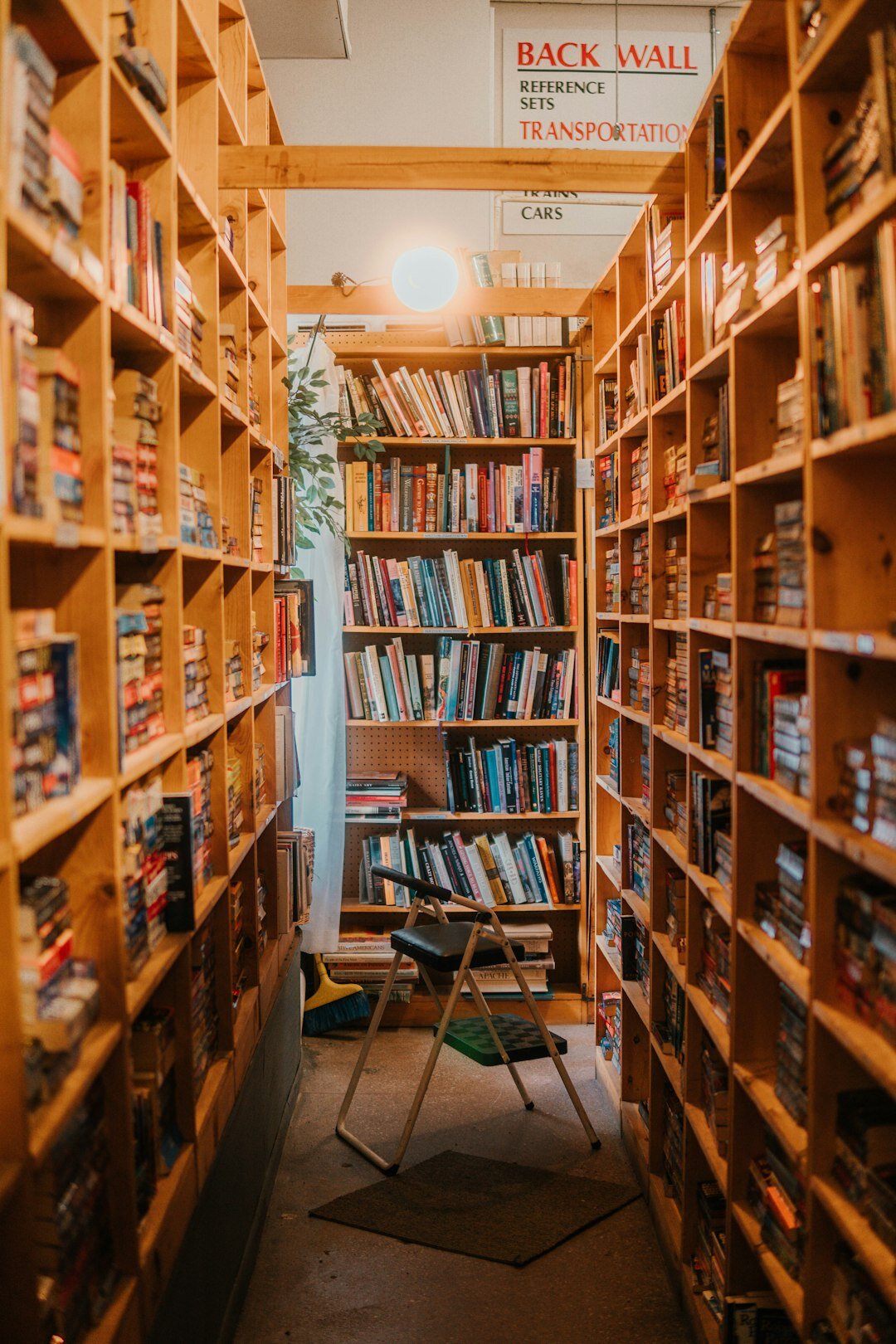 cozy bookstore interior